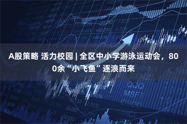 A股策略 活力校园 | 全区中小学游泳运动会，800余“小飞鱼”逐浪而来