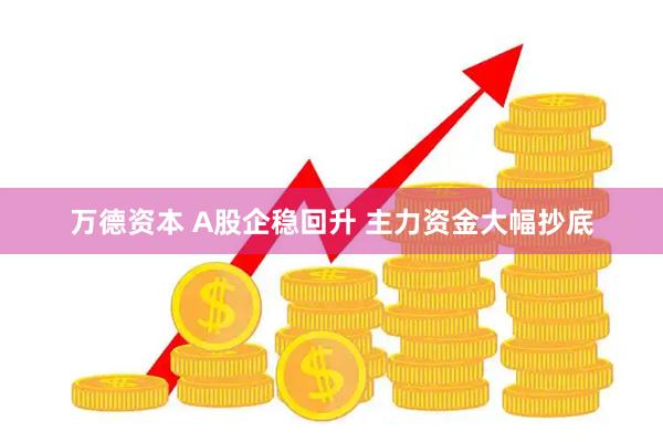 万德资本 A股企稳回升 主力资金大幅抄底
