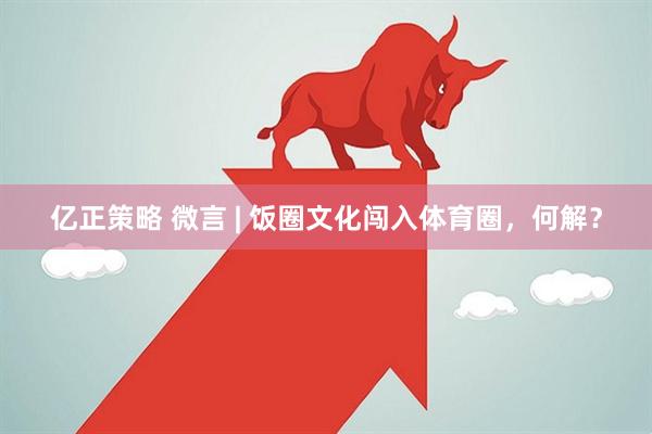 亿正策略 微言 | 饭圈文化闯入体育圈，何解？