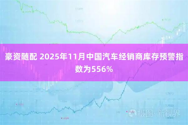 豪资随配 2025年11月中国汽车经销商库存预警指数为556%