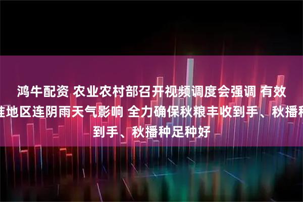 鸿牛配资 农业农村部召开视频调度会强调 有效应对黄淮地区连阴雨天气影响 全力确保秋粮丰收到手、秋播种足种好