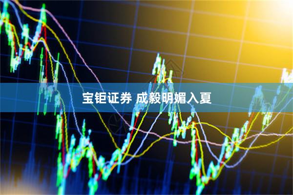 宝钜证券 成毅明媚入夏